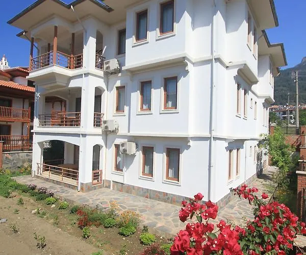 Okaliptus * Akyaka (Mugla)