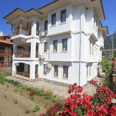 Okaliptus * Akyaka (Mugla)