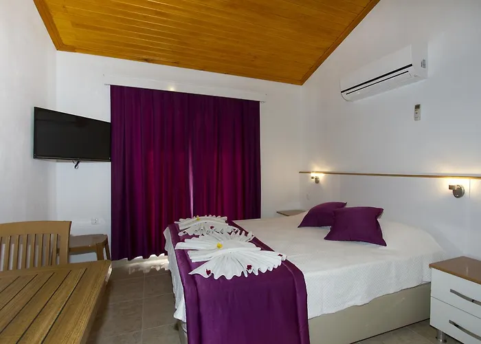 Okaliptus * Akyaka (Mugla)